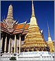 The King’s Birthday in Bangkok: A Report from the XX World Allergy Congress